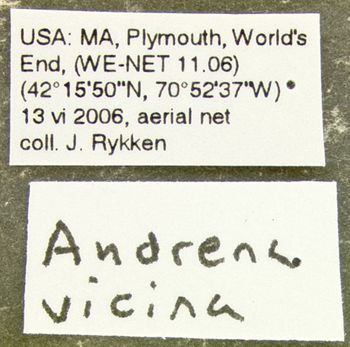 Media type: image;   Entomology 609596 Aspect: labels